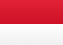 ID flag