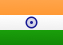 IN flag